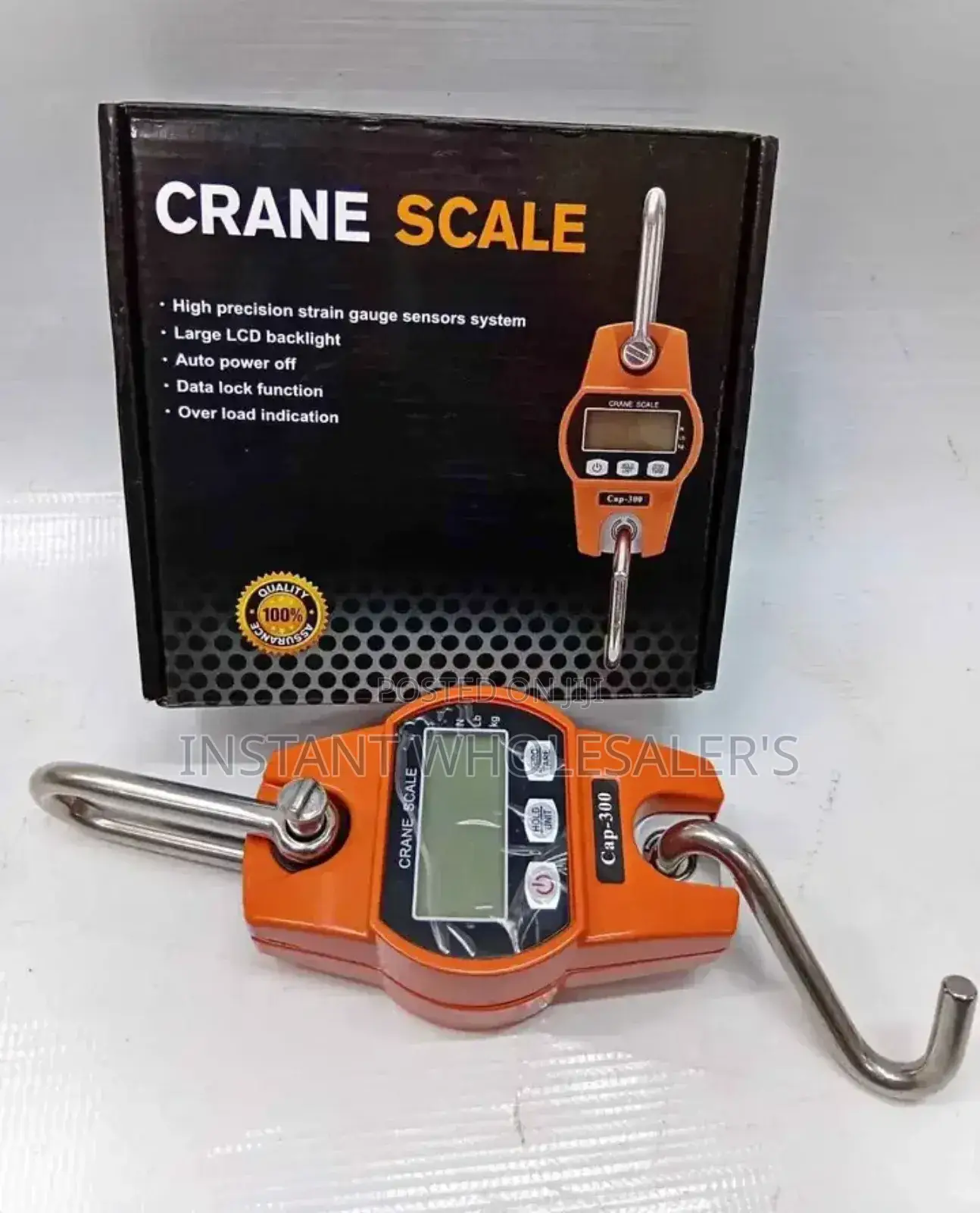 Accurate Crane Scales 300kgs