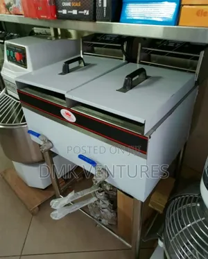 Charming Imported Double Chips Fryer
