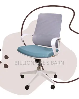 White Ergonomic Mesh Office Chair | Pro-grade Lumbar Support