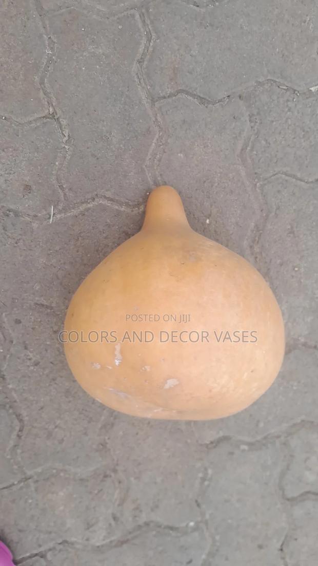 Full Guards in Stock - thumbnail 4