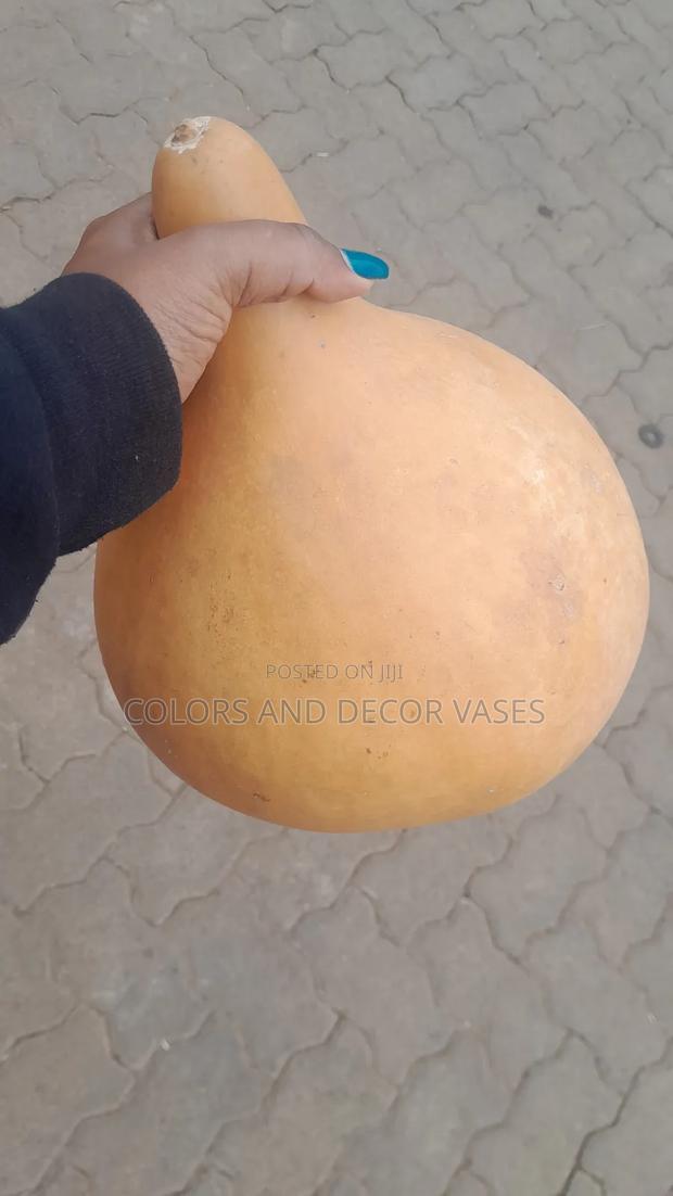 Full Guards in Stock - thumbnail 5