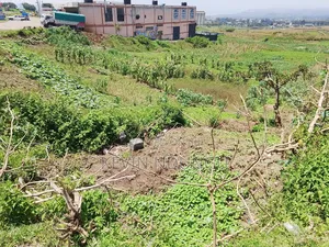 3 50*100 Plot for Sale in Kiamunyi