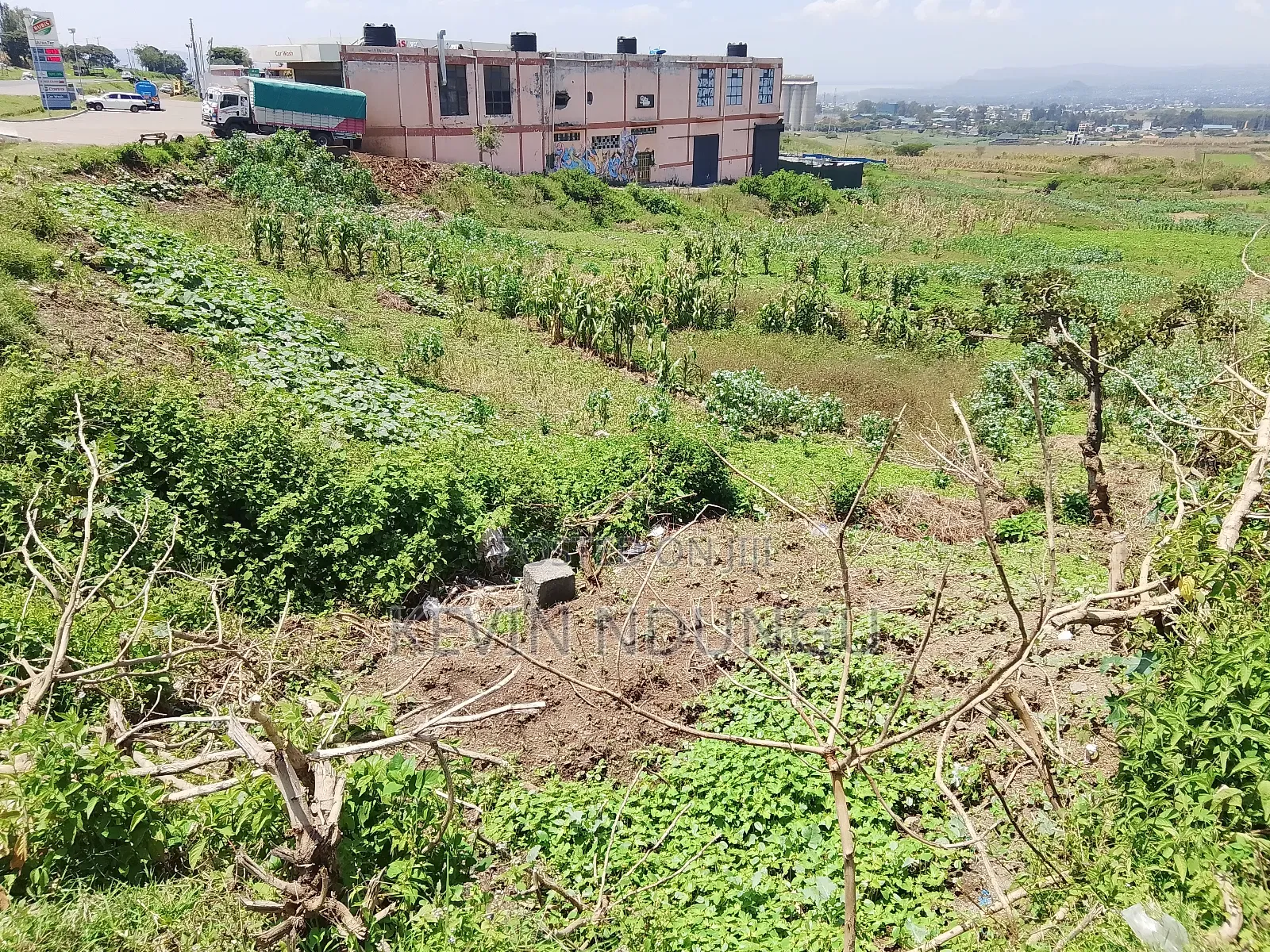 3 50*100 Plot for Sale in Kiamunyi