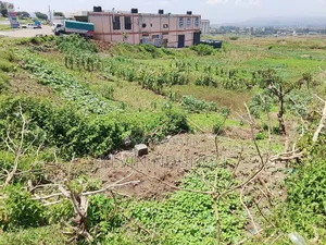 3 50*100 Plot for Sale in Kiamunyi
