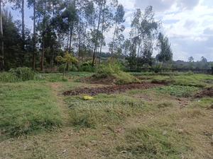 Urbannest Ke - thumbnail 2