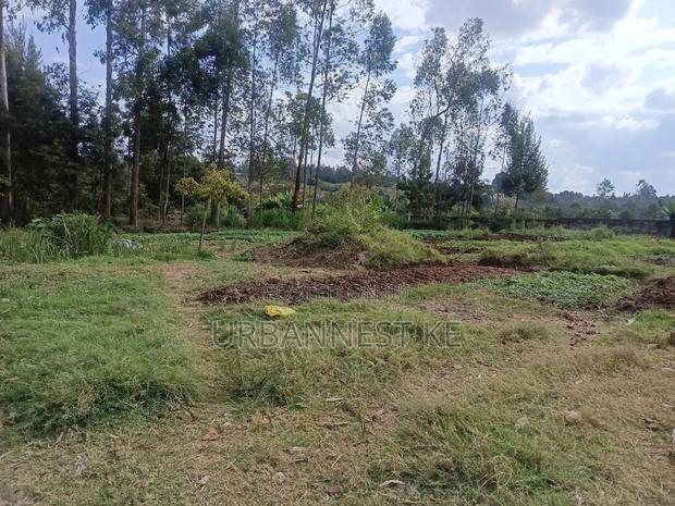 Urbannest Ke - main view