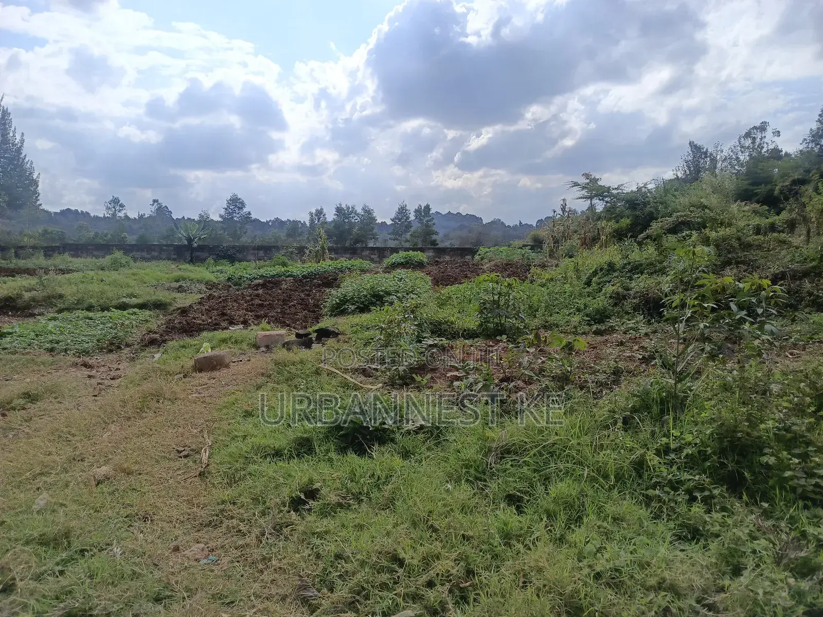 Urbannest Ke