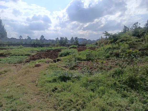 Urbannest Ke - thumbnail 3