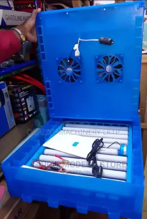 Affordable Egg Incubator-64eggs