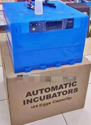 Affordable Egg Incubator-128 Eggs