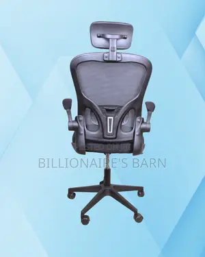 Grey Ergonomic Office Chair | Ergonomic Nylon Castors