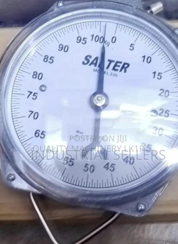 Original 100kgs Salter Hanging Scale