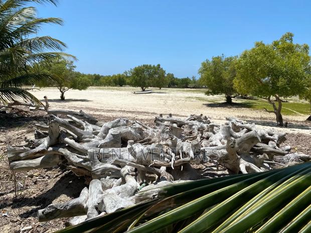 Prime Property - thumbnail 10