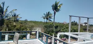 Mirango Beach Plot2