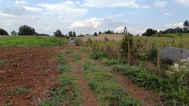 Affordable Prime Plot for Sale – Rironi Kiroe - main view