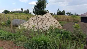 Affordable Prime Plot for Sale – Rironi Kiroe