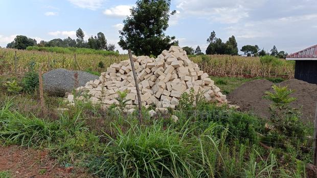 Affordable Prime Plot for Sale – Rironi Kiroe - thumbnail 3