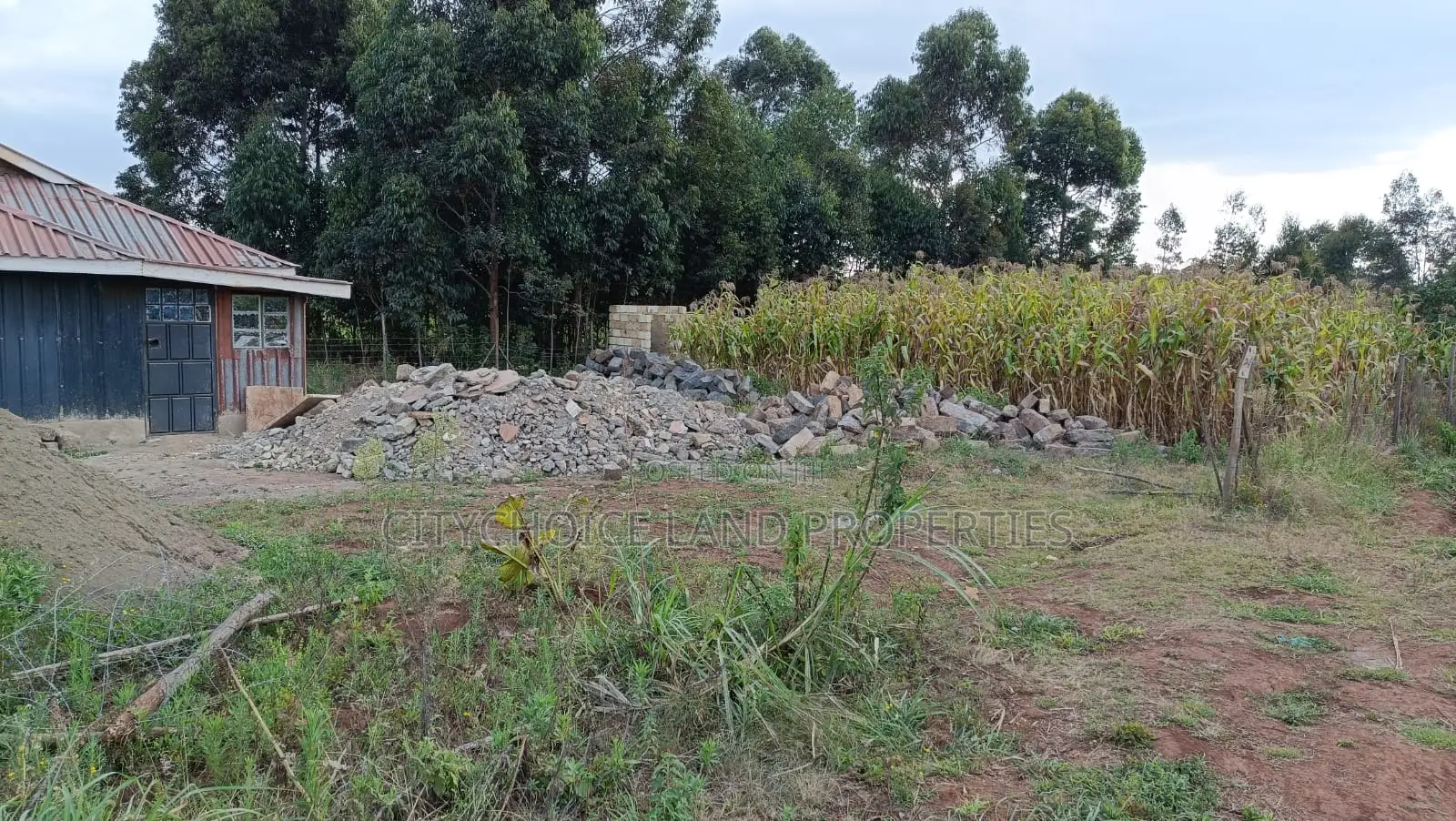 Affordable Prime Plot for Sale – Rironi Kiroe