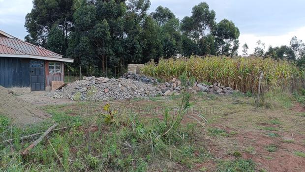 Affordable Prime Plot for Sale – Rironi Kiroe - thumbnail 4