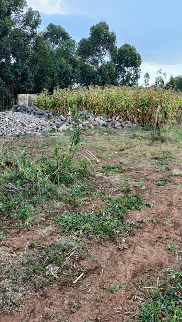 Affordable Prime Plot for Sale – Rironi Kiroe - thumbnail 5