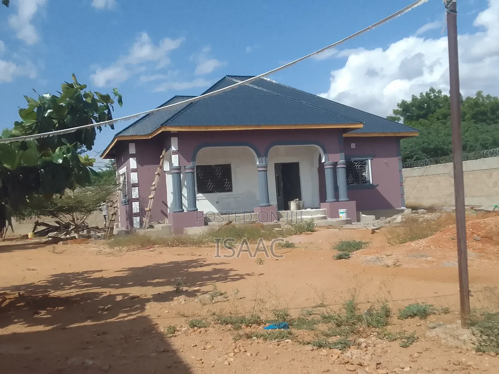 Painting and Renovating Houses