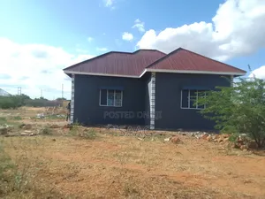 Painting and Renovating Houses