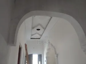Painting and Renovating Houses