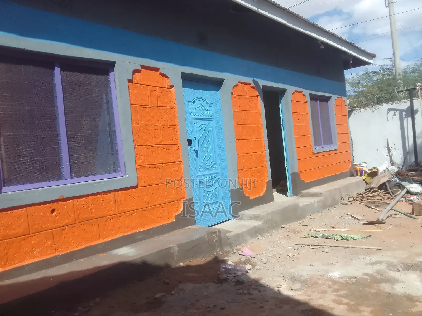 Painting and Renovating Houses