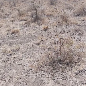 100x100 Plot on Sale Ruai Ready Title Deed