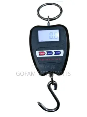 Heavy Duty Portable Mini Crane – Digital Hanging Scale 200kg