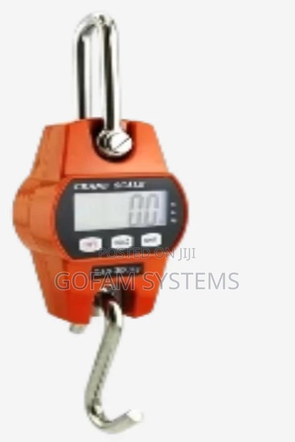 Digital Crane Scale 300kg - main view