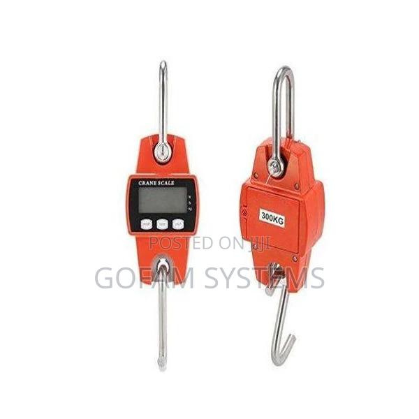 Digital Crane Scale 300kg - thumbnail 2