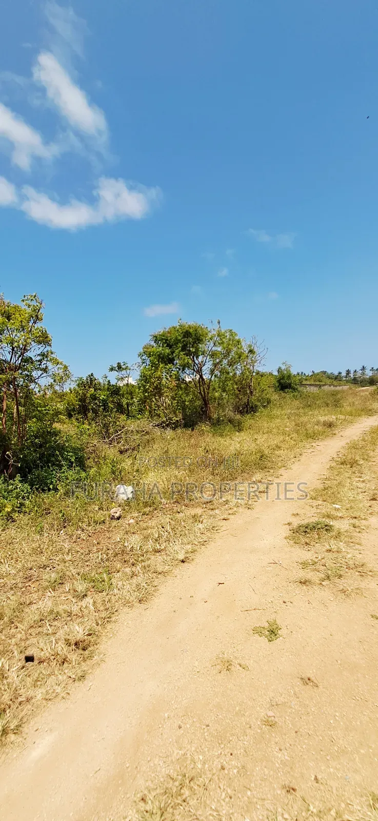 For Sale Eigth Acres Plots Shanzu