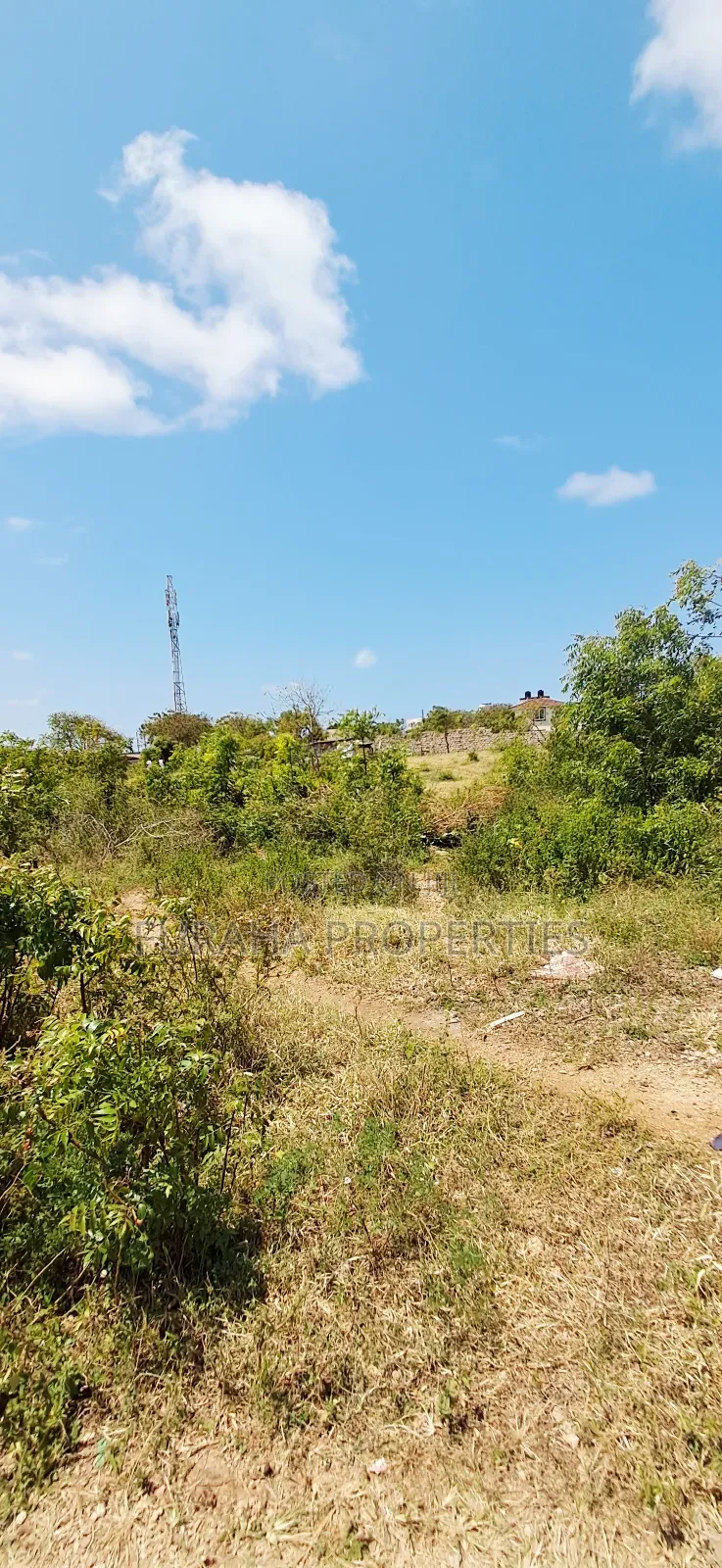 For Sale Eigth Acres Plots Shanzu