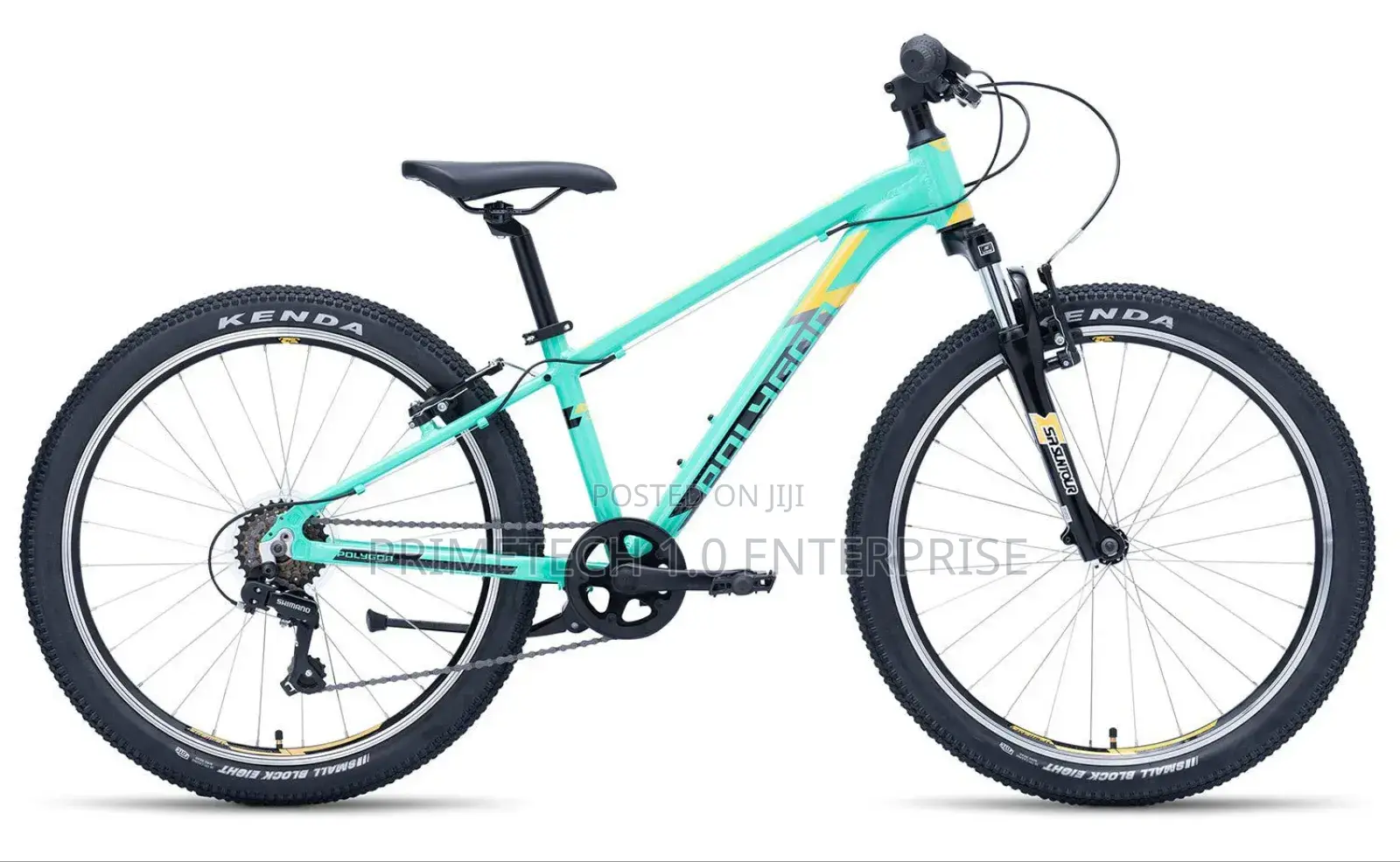 Premier Size 24 Bicycle