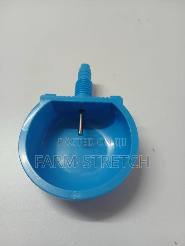 Rabbit Cup Drinkers - main view