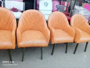Salon/ Spa Chair