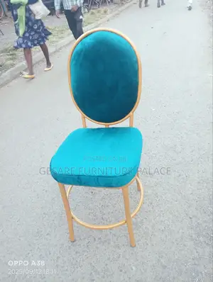Stylish Chair / Salon Seat