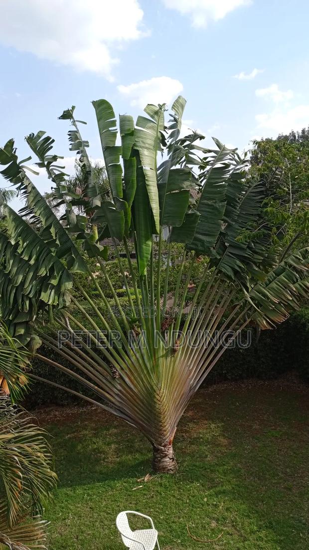 4bdrm Maisonette in Ridgeways for sale - thumbnail 15