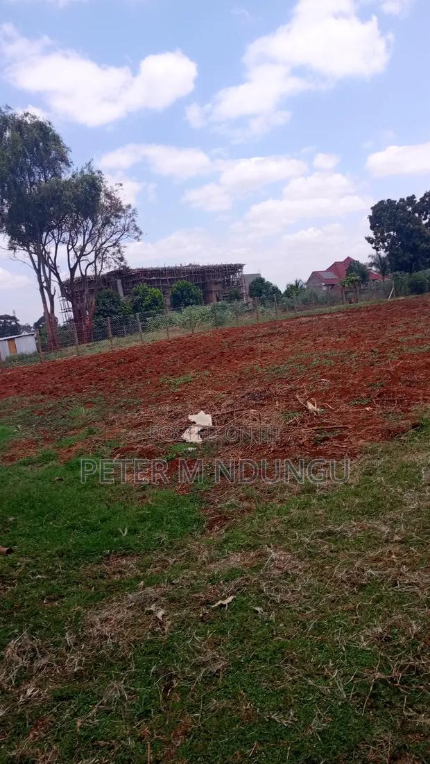 Ridgeways Prime Residential 1/2 Acre on Sale - thumbnail 5