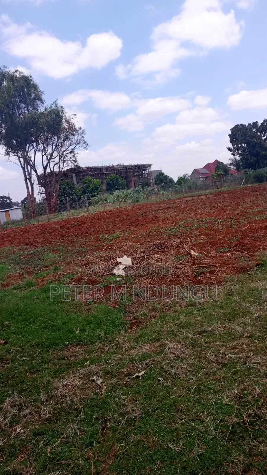 Ridgeways Prime Residential 1/2 Acre on Sale