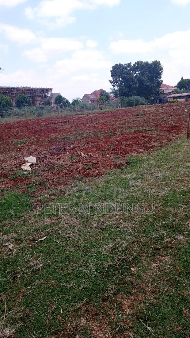 Ridgeways Prime Residential 1/2 Acre on Sale - thumbnail 7