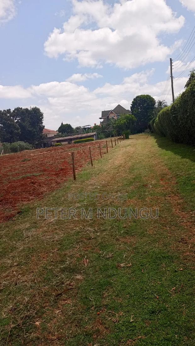 Ridgeways Prime Residential 1/2 Acre on Sale - thumbnail 4