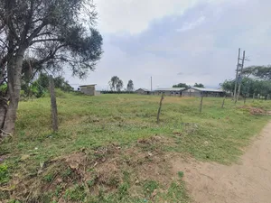 Plots in Chuma Town Nanyuki