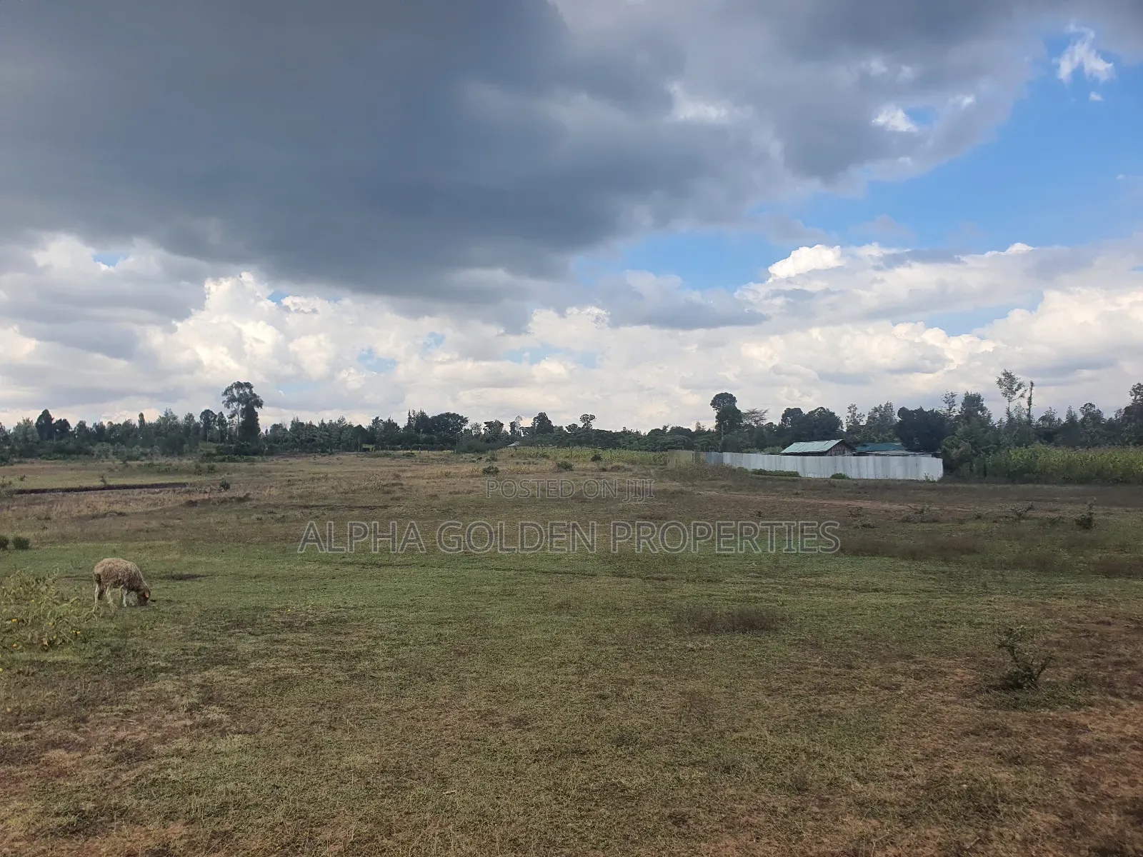 1 Acre in Daiga