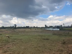 1 Acre in Daiga