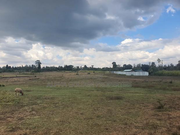 1 Acre in Daiga - main view