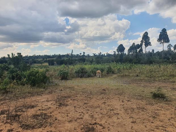 1 Acre in Daiga - thumbnail 2