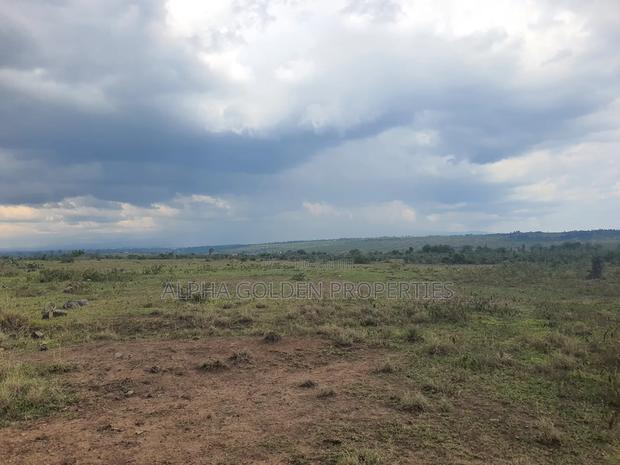 1 Acre in Daiga - thumbnail 4