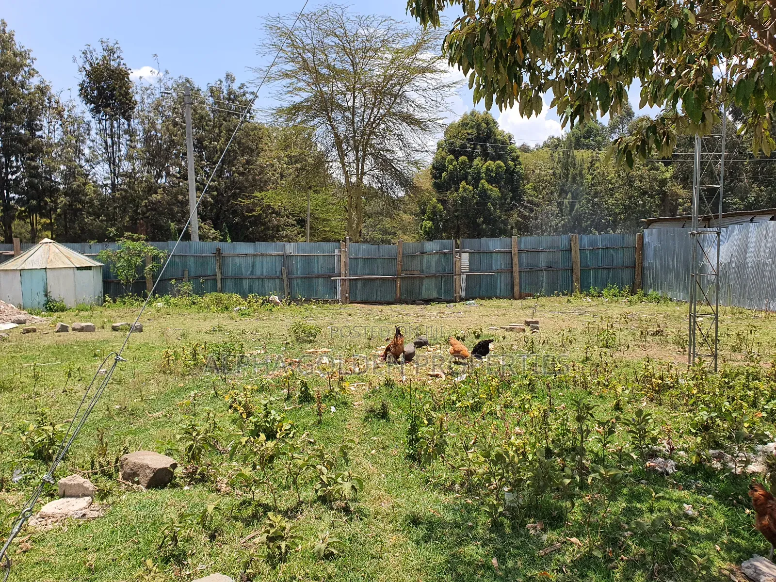 Nanyuki Town Plots